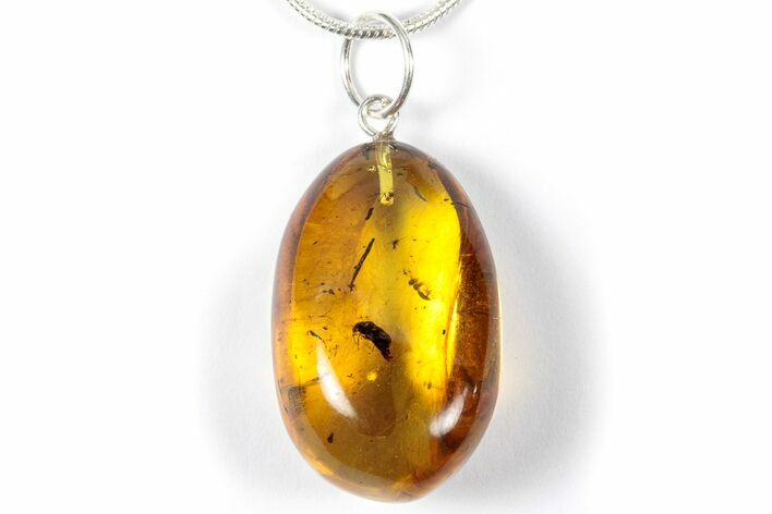Polished Baltic Amber Pendant (Necklace) - Contains Insects! #357961